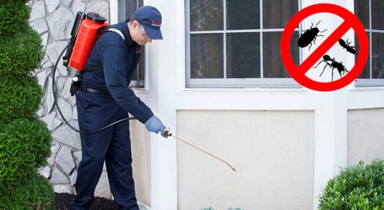 Seydikemer Akrep İlaçlama böcek ilaçlama ve haşere kontrolü — ilaclama-tr.com